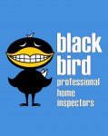 BLACK BIRD PHI STACKED LOGO ON BLUE WHT W BLK OL.jpg