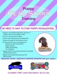 Head Start Training.jpg