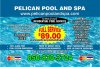 Pelican Pool & Spa PC small.jpg