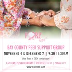 Bay County Peer Support 2.jpeg